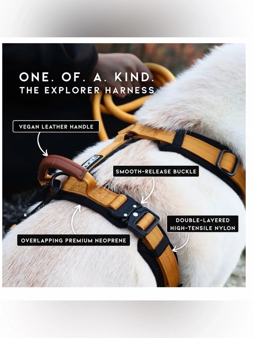MADE TO ROAM Premium Explorer Harness - Y-Shaped Dog Harness (Cali Blue, Size 2)
